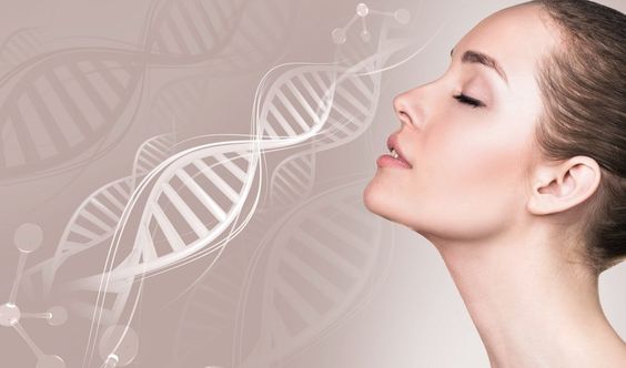 коллагенанонс