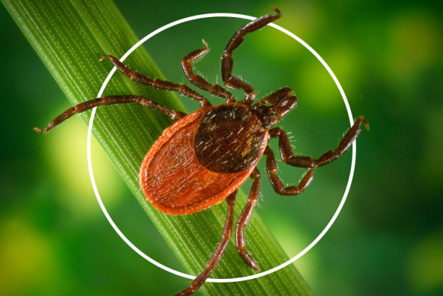 Обложка-4 (1)