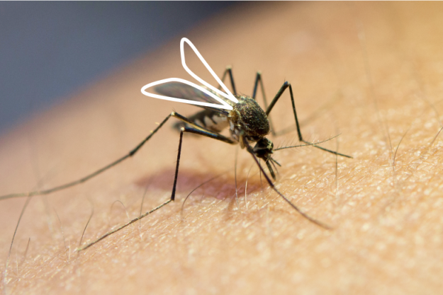 Обложка-5 (2)